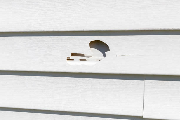 Affordable siding repair and maintenance services in Ridge, NY